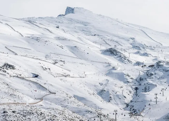 Toc Albergue Granada